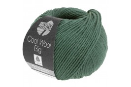 Cool Wool Big grijsgroen 1004