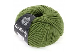 Cool Wool Big varen groen 909